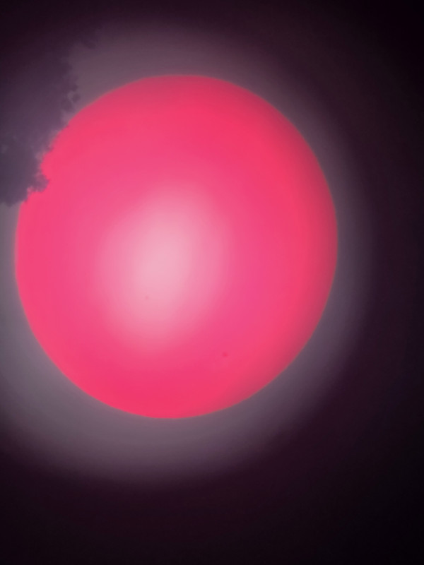 7f6ba08d5e0e3827fdcd135e283ee374_1756476766_4353.jpg
